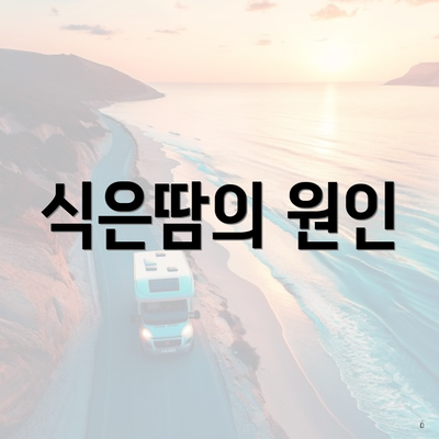 식은땀의 원인