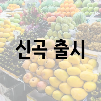 신곡 출시