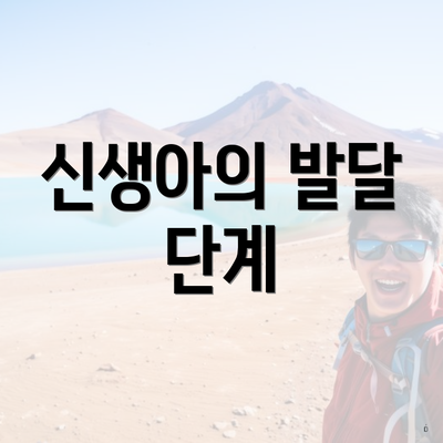 신생아의 발달 단계