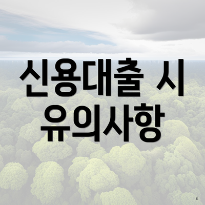 신용대출 시 유의사항