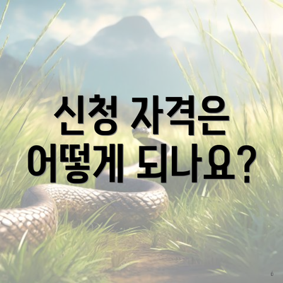 신청 자격은 어떻게 되나요?