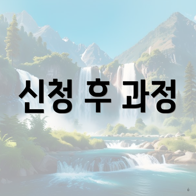 신청 후 과정