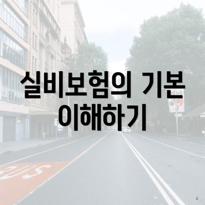 실비보험의 기본 이해하기