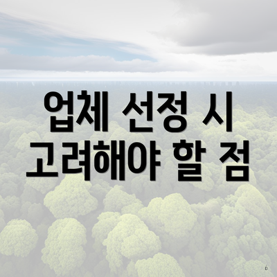 업체 선정 시 고려해야 할 점