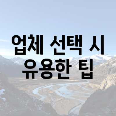 업체 선택 시 유용한 팁
