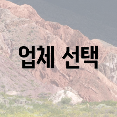 업체 선택