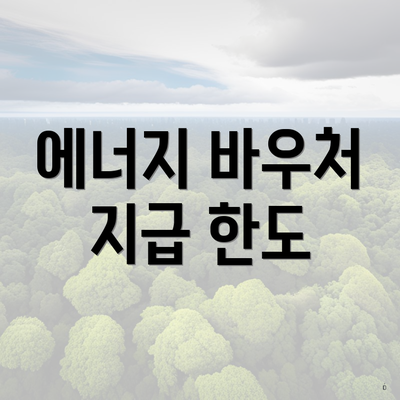에너지 바우처 지급 한도
