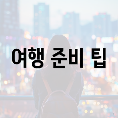 여행 준비 팁