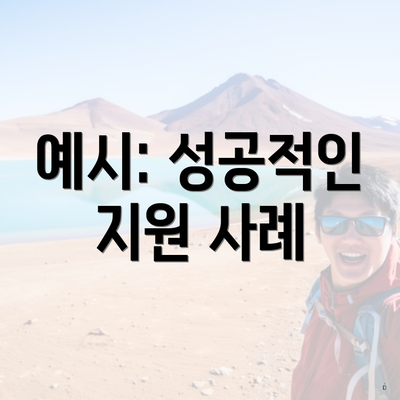 예시: 성공적인 지원 사례