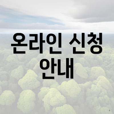 온라인 신청 안내