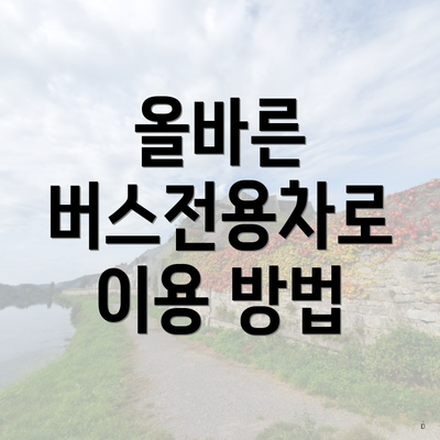 올바른 버스전용차로 이용 방법