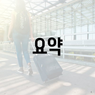 요약