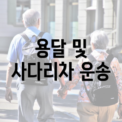 용달 및 사다리차 운송