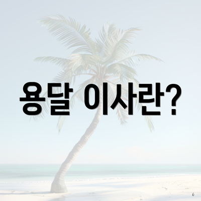 용달 이사란?
