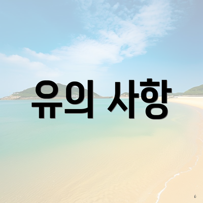 유의 사항