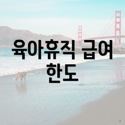 육아휴직 급여 한도
