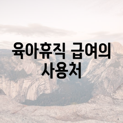 육아휴직 급여의 사용처