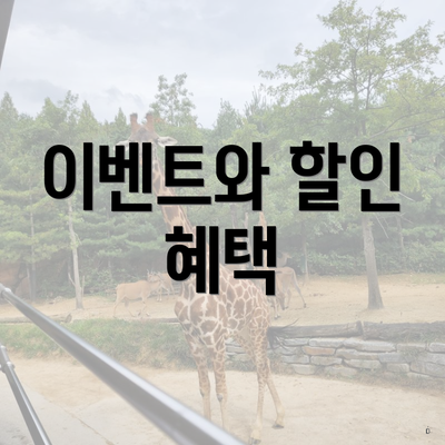 이벤트와 할인 혜택