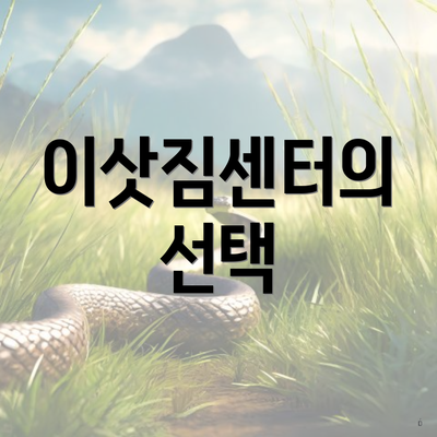 이삿짐센터의 선택
