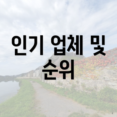인기 업체 및 순위
