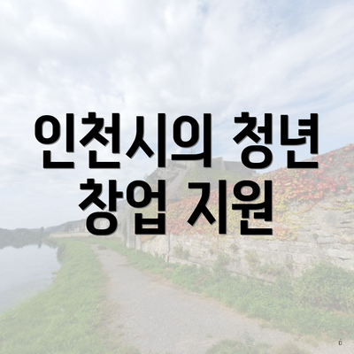 인천시의 청년 창업 지원
