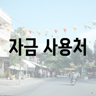 자금 사용처
