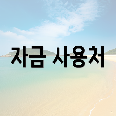 자금 사용처
