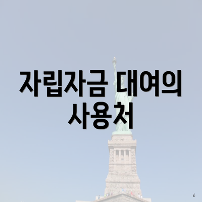 자립자금 대여의 사용처