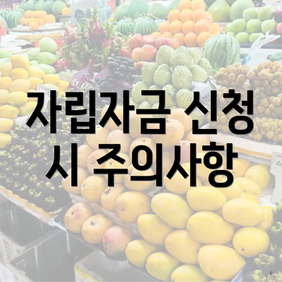 자립자금 신청 시 주의사항