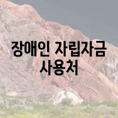장애인 자립자금 사용처