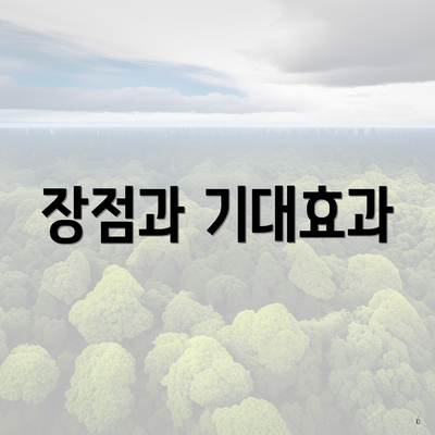 장점과 기대효과