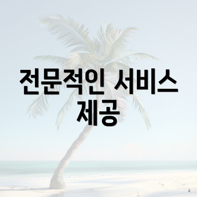 전문적인 서비스 제공