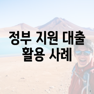 정부 지원 대출 활용 사례