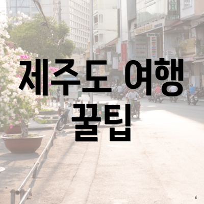 제주도 여행 꿀팁