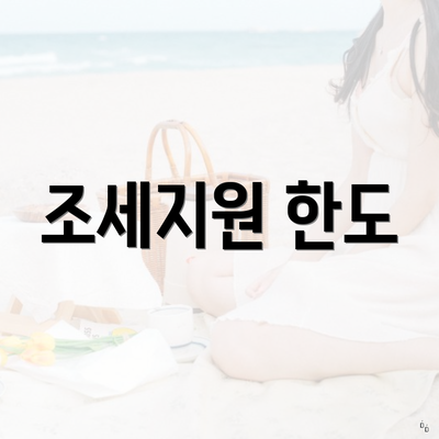 조세지원 한도