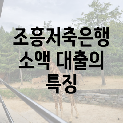 조흥저축은행 소액 대출의 특징
