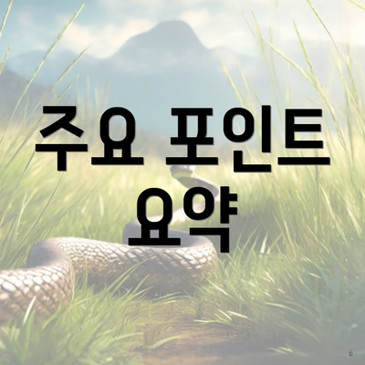 주요 포인트 요약