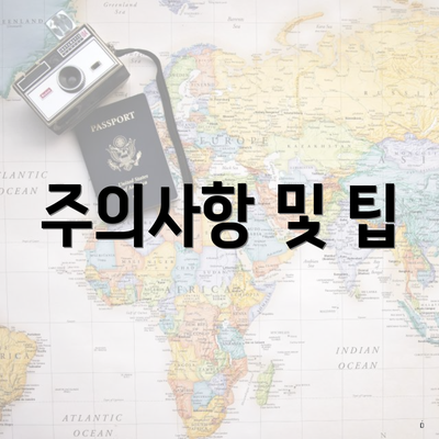 주의사항 및 팁