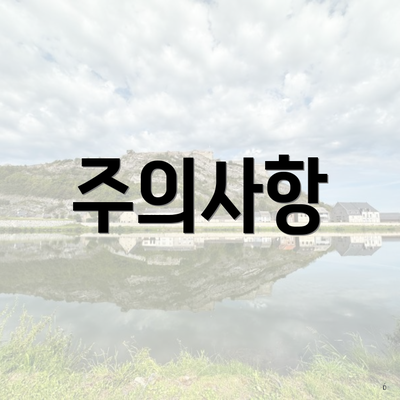 주의사항