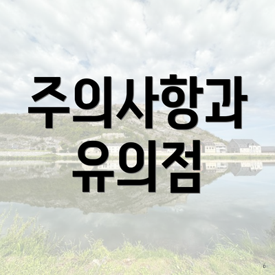 주의사항과 유의점