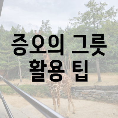 증오의 그릇 활용 팁