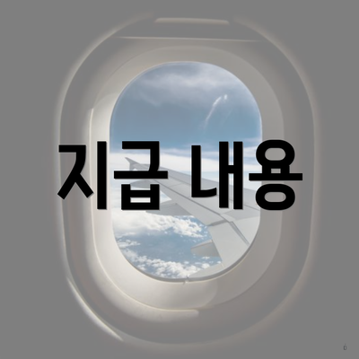 지급 내용