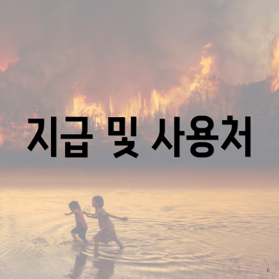 지급 및 사용처