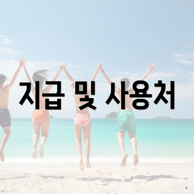 지급 및 사용처