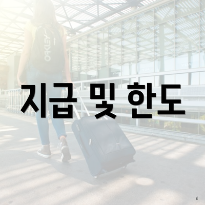 지급 및 한도