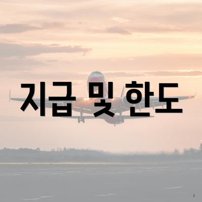 지급 및 한도