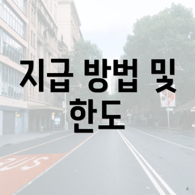 지급 방법 및 한도