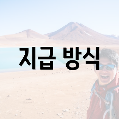 지급 방식