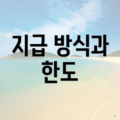 지급 방식과 한도