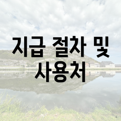 지급 절차 및 사용처